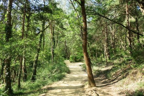 Visite du Colorado Provençal à Rustrel