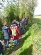 La randonnée du 7 avril à Roucamps