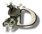 D
