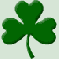 trefle shamrock