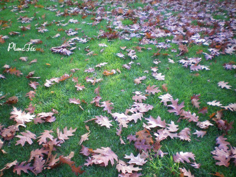 Image009.jpg