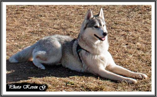 Javik (3 ans)