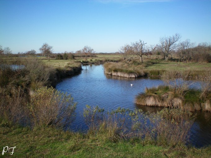 image</p>26.jpg