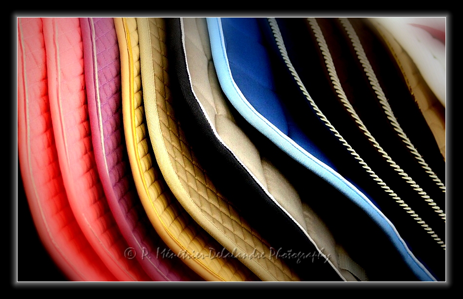 Tapis de selle et couleurs...
