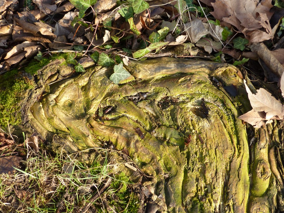 Entre deux tempêtes ... 