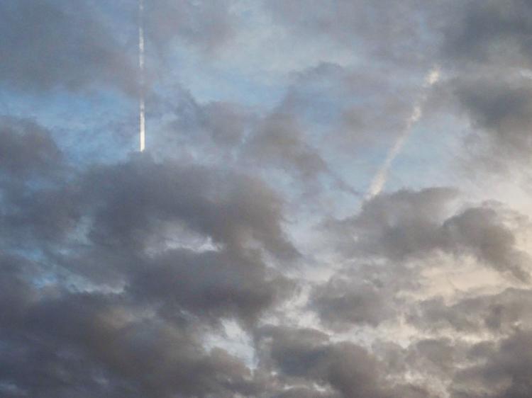 Dimanche c'est chat quand le samedi c'est ciel