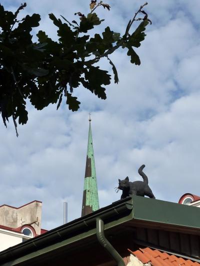 Les pays Baltes : Estonie : Jour 7 - matinée libre à Tallinn et retour sur Paris