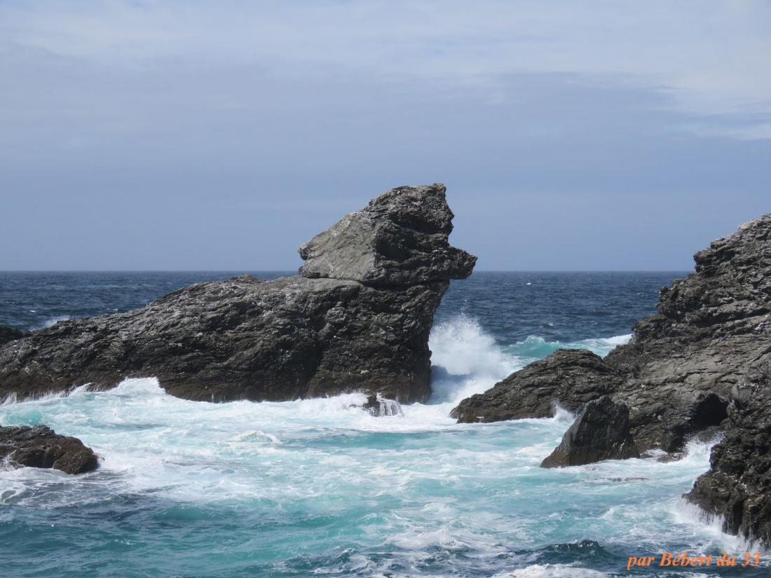 ma tête du jour !!!