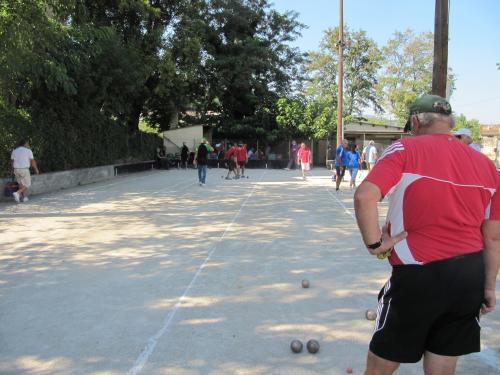 CONCOURS 32 D PROPAGANDE LA VIOLETTE