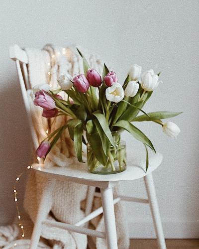 Tulipes