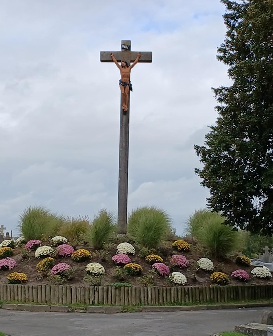 Le chrysanthème ...