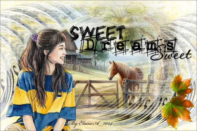 Sweet Dreams Sweet - Fais de beaux rêves