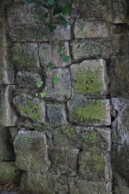 Variations sur un mur