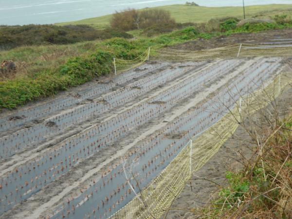 Courageux nos agriculteurs !