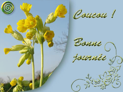 "Coucou" ... du jour ! ...