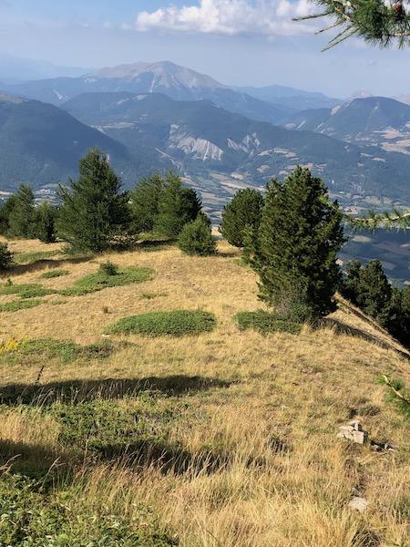 Dormillouse, retour par les crêtes (Seyne - Montclar)