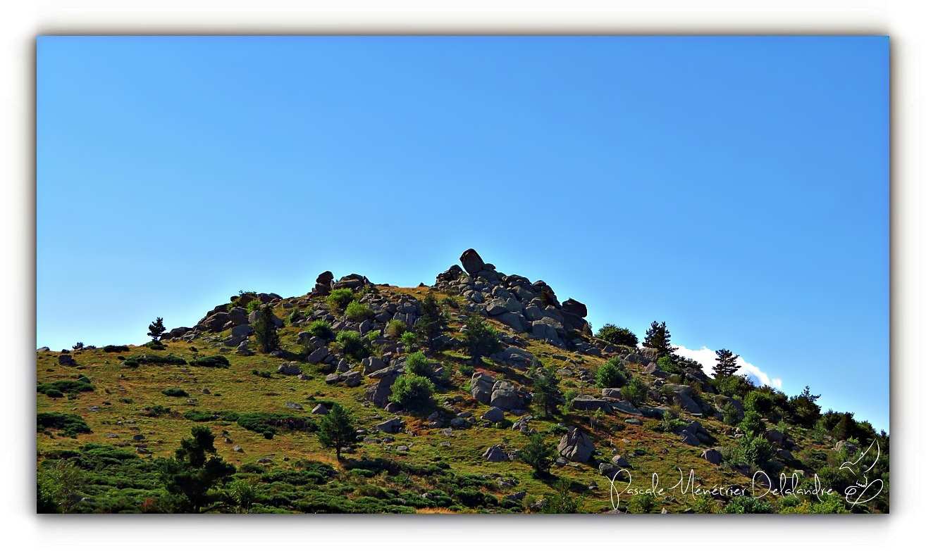Balade au Mont Lozère