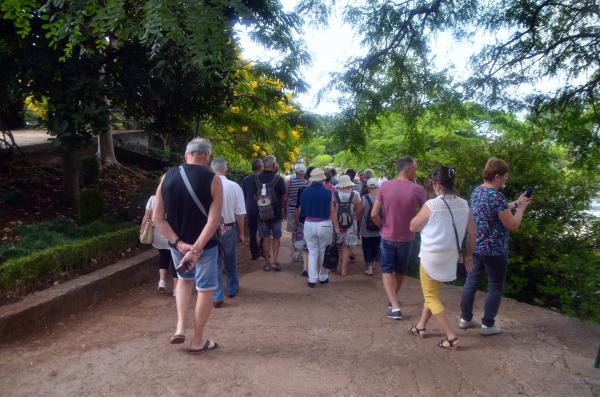 Circuit en étoile à Madère : Funchal, son marché et son jardin botanique