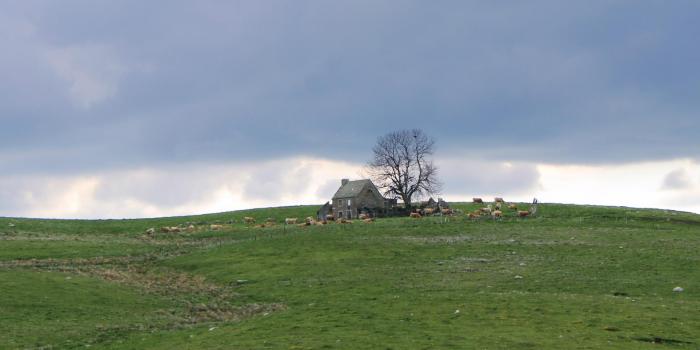 Département de la Lozère
