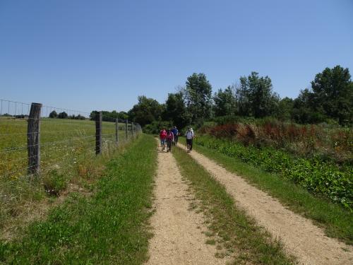 "Baladouce d'été" - Mardi 09 juillet 2024