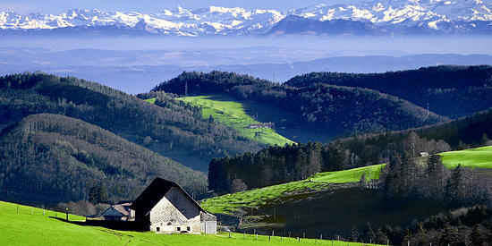 Département du  Haut-Rhin 