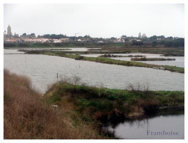 Noirmoutier la chaussée Jacobsen