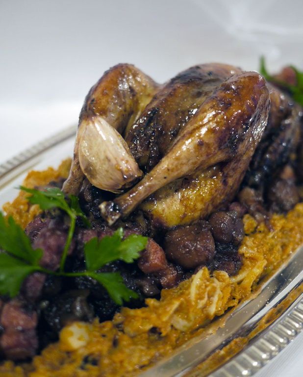 Poule faisane égarée