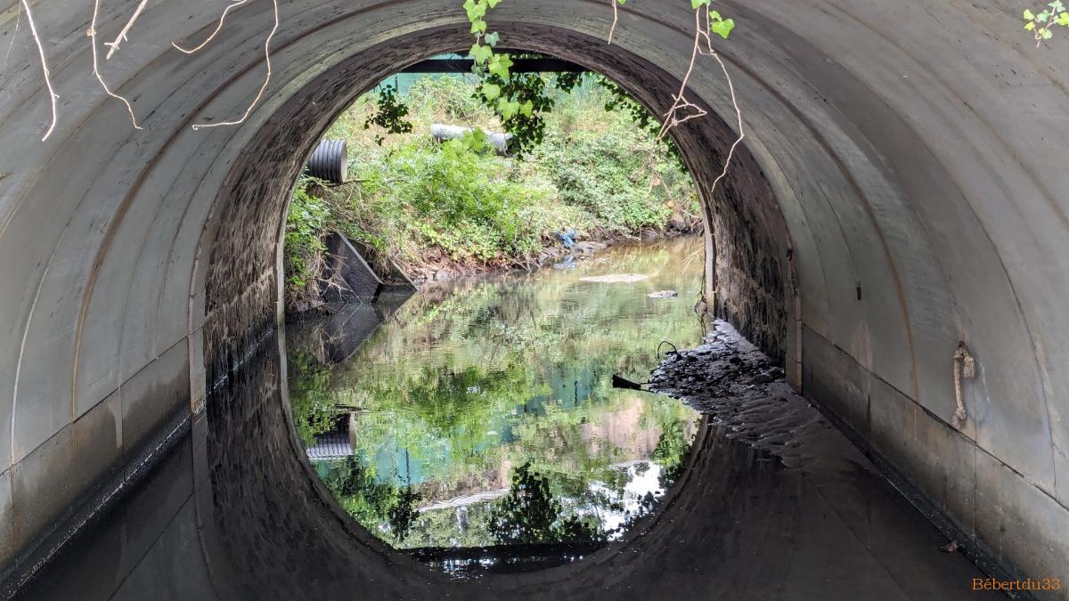 défi reflets N°11