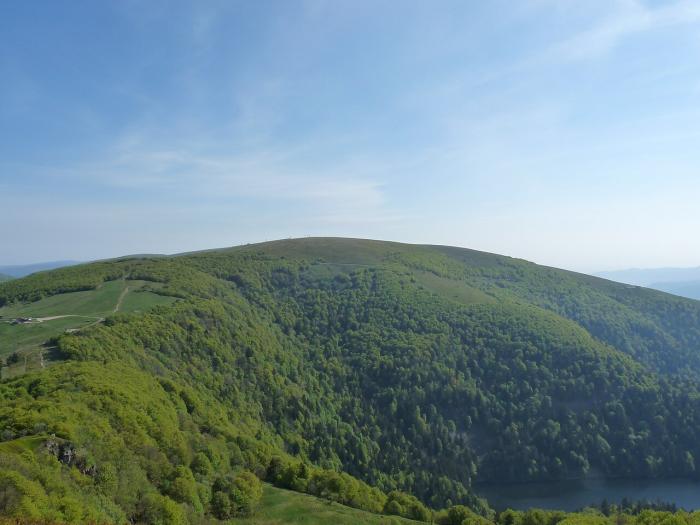 Département des Vosges