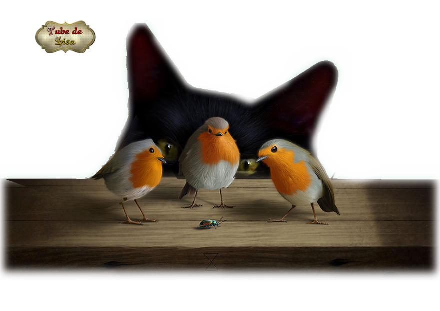 Animaux série 17