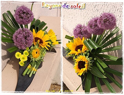 06 29 06 2010 rayons de soleil (3)
