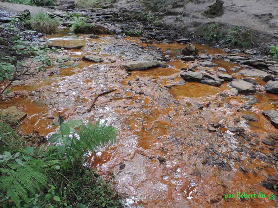 Broceliande - le val sans retour (35) - 2