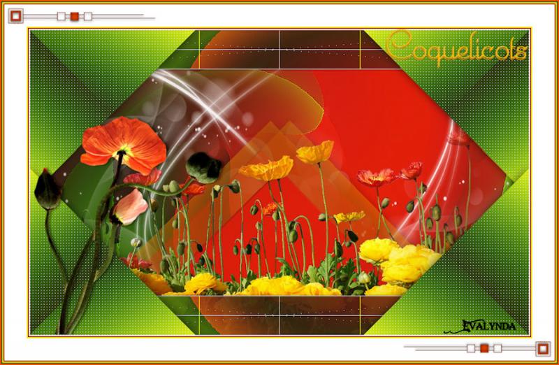 Coquelicots