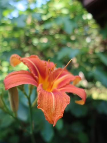 Partout où l'homme apporte son travail, il apporte aussi un peu de son coeur