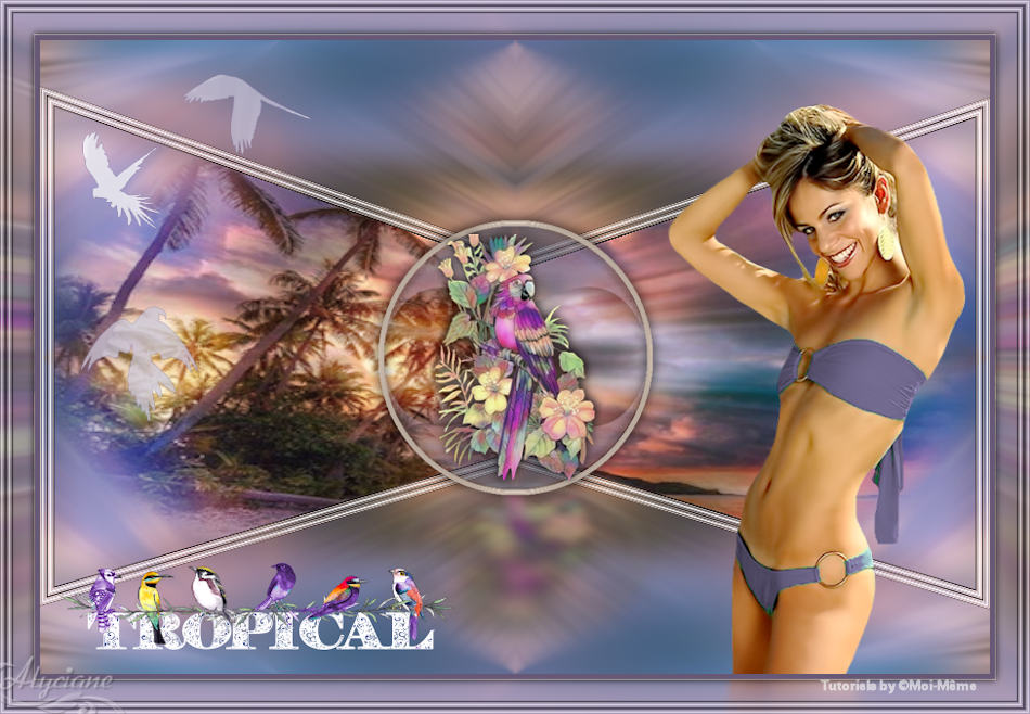 Tropical