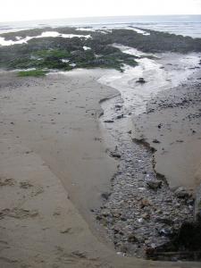 Pornichet_sentier_du_littoral_005