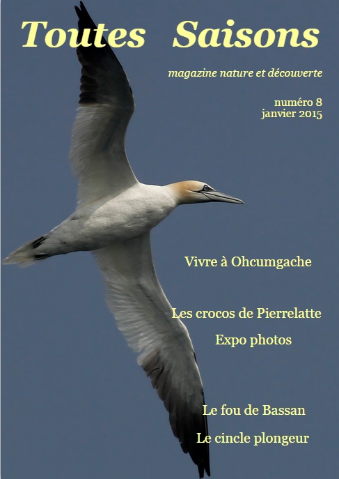"Toutes Saisons N°8" est sorti