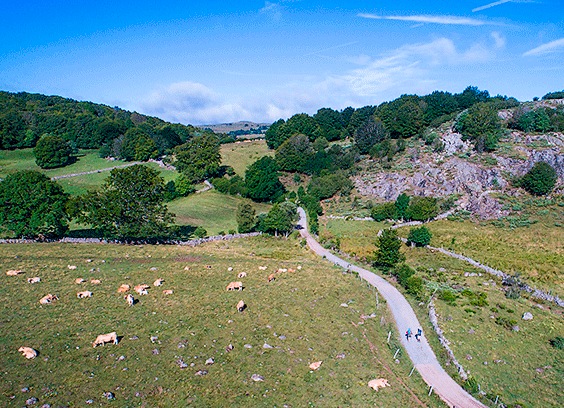 Département de la Lozère