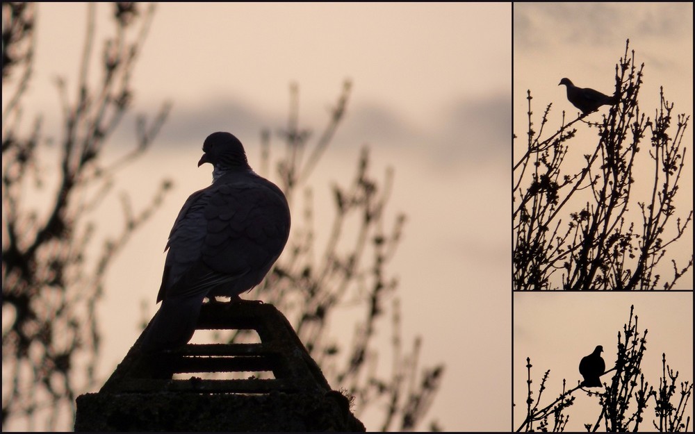 De choses et d'autres ...