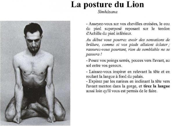 Animaux martiaux