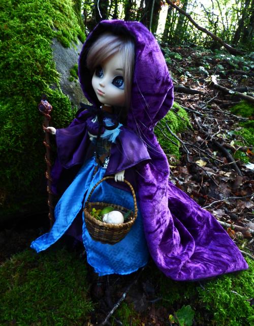 Un automne avec Fauna