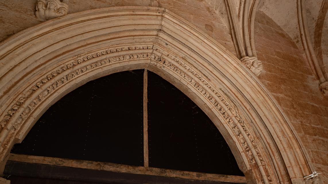 OC 2021 : Valmagne ou les vignes du Seigneur... (1/3)