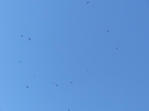 Le Sentier du Karst (Vercors Dromois)