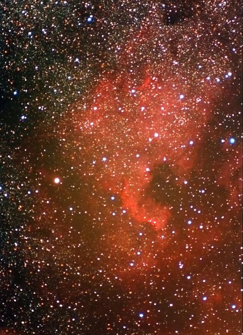 Le 03-08-2011 : Mes pemières prises de vues de la nébuleuse North America