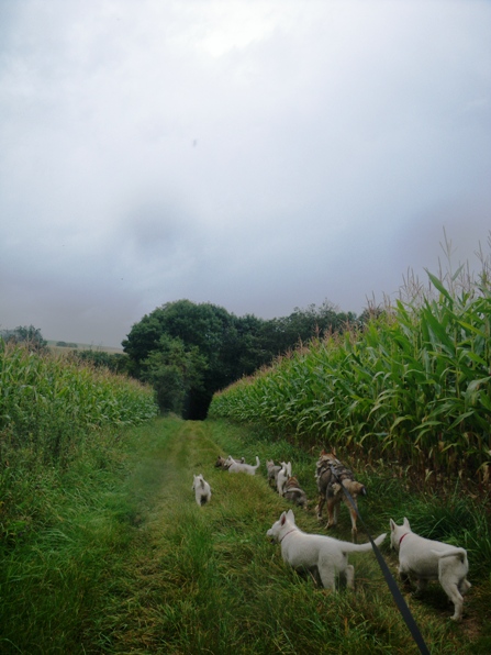 Ballade sous la pluie