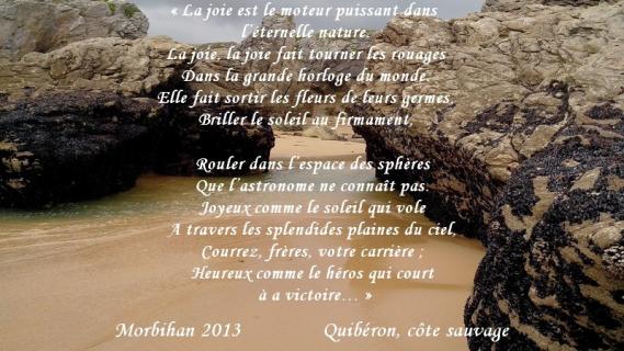 2013-07-29 17.25.51Quiberon, CÃ´te sauvage  (13)