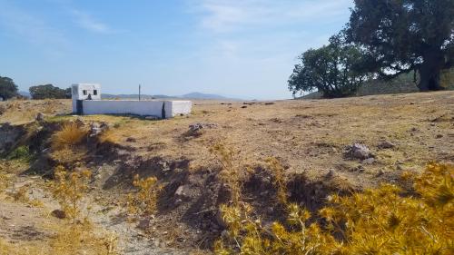 L'hospitalité en chemin