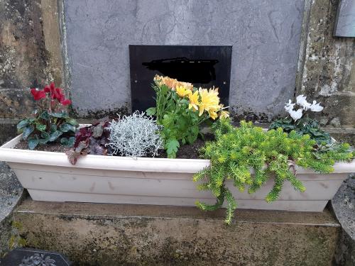 Bilan..... défi....