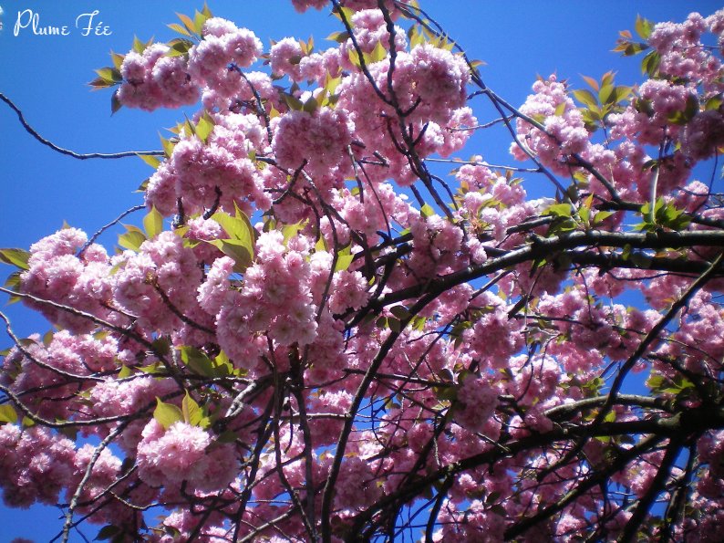 Image008.jpg