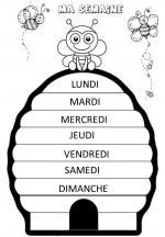 programmation période 5: les abeilles et les papillons